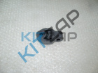 ������ ���������