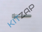 ���� ������ ��������